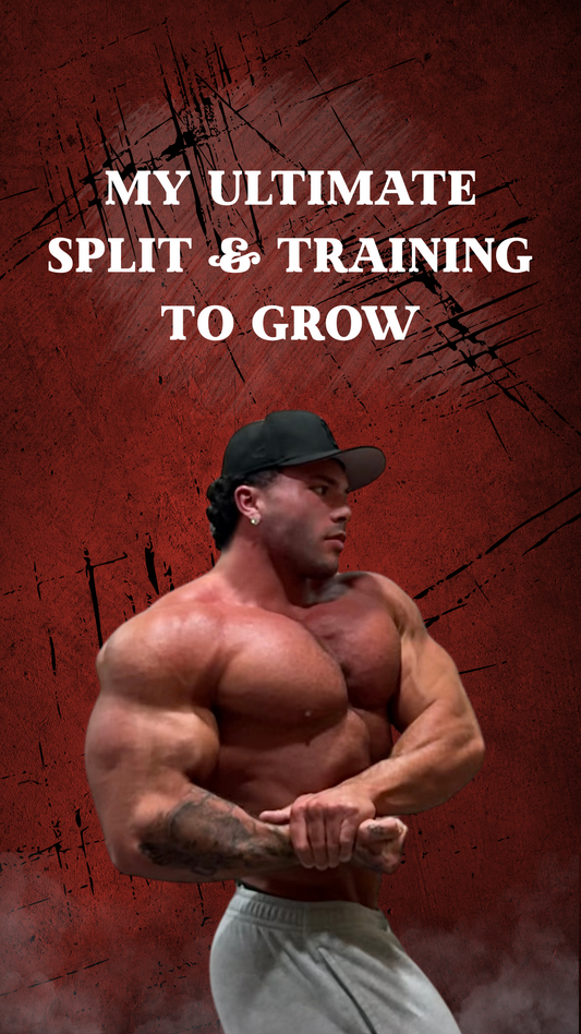 Bulk Program - Get huge and stronger